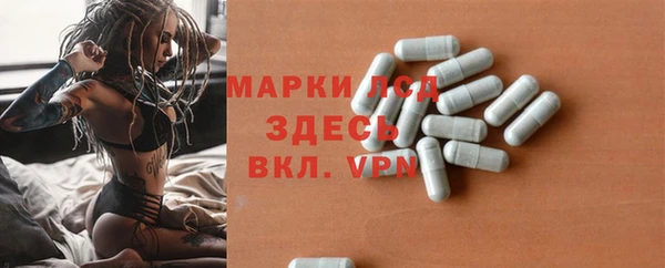 гашик Заводоуковск