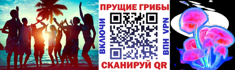 Галлюциногенные грибы мицелий  Купить где  Грязовец 